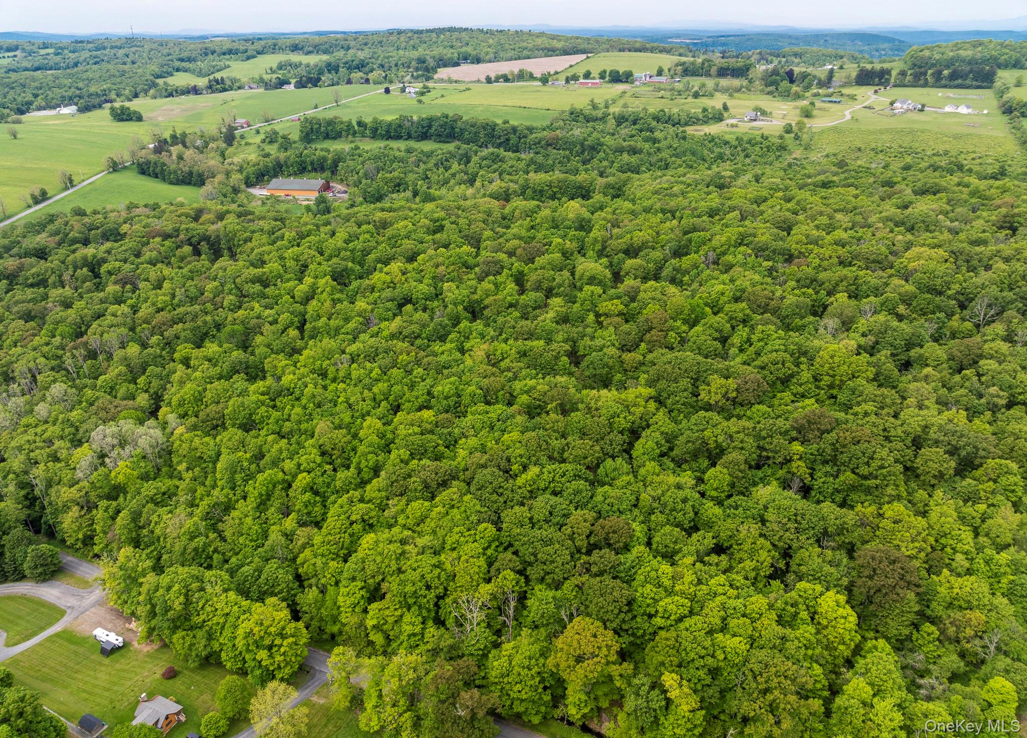a view of a green field with lots of bushes