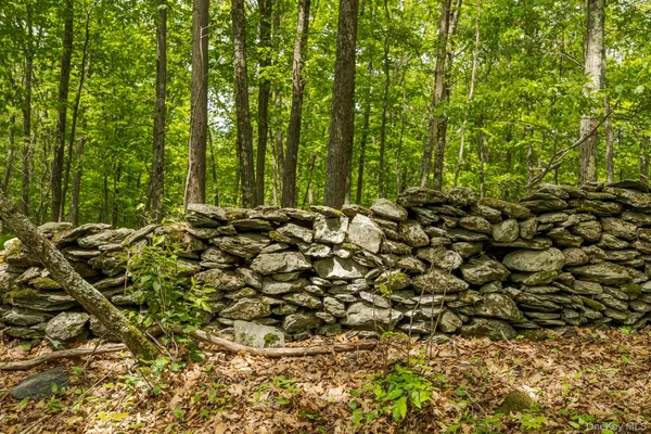 $179,000 | A Skunks Misery Road, Millerton, NY 12546