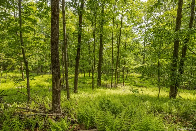 $199,000 | A Skunks Misery Road, Millerton, NY 12546