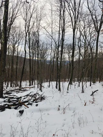 $179,000 | A Skunks Misery Road, Millerton, NY 12546