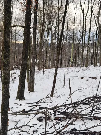 $179,000 | A Skunks Misery Road, Millerton, NY 12546