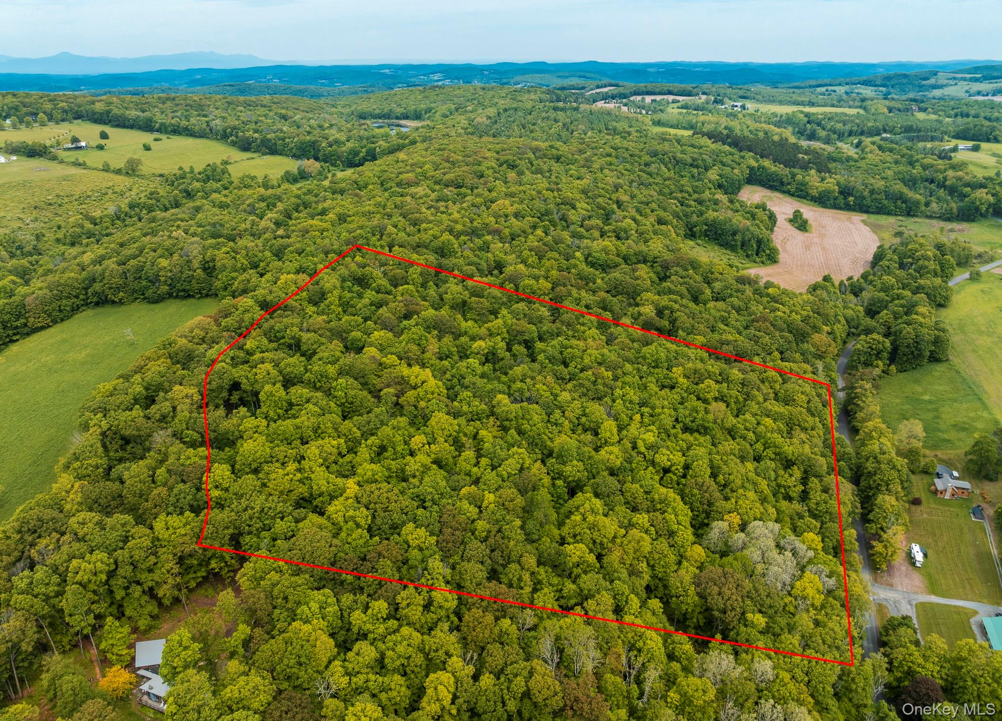 A Skunks Misery Road Millerton, NY 12546 - Photo 2 of 16 Aerial view of property's location featuring property parcel outlined