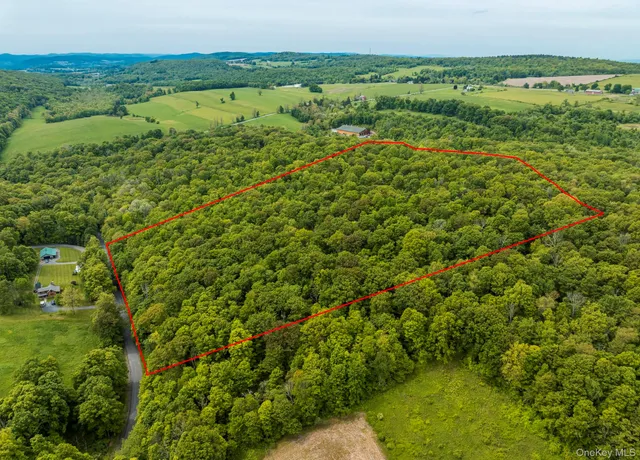 a view of a field with an ocean view