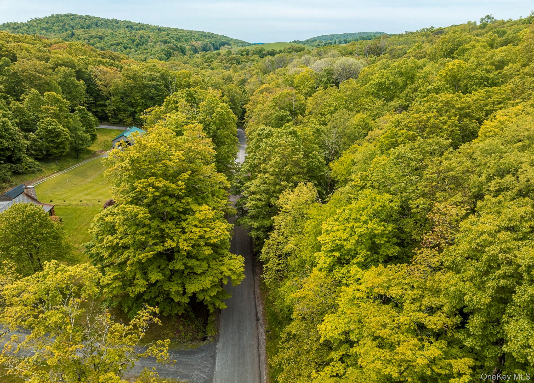 A Skunks Misery Road Millerton, NY 12546 - Photo 4 of 16 Bird's eye view of a forest