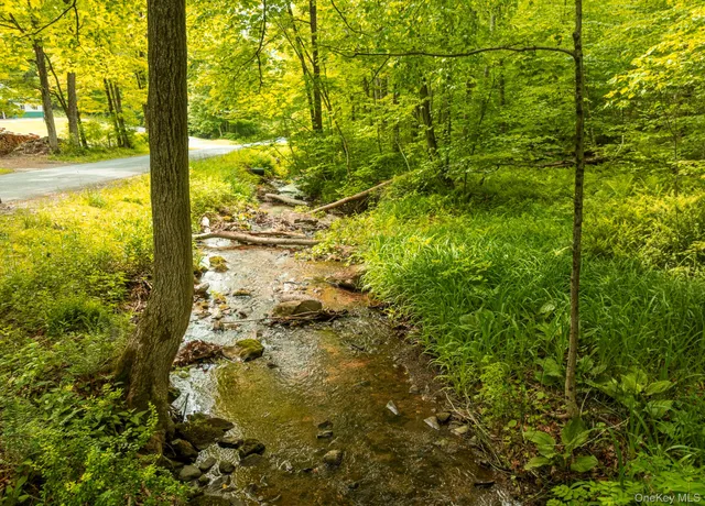 a view of a garden from a yard