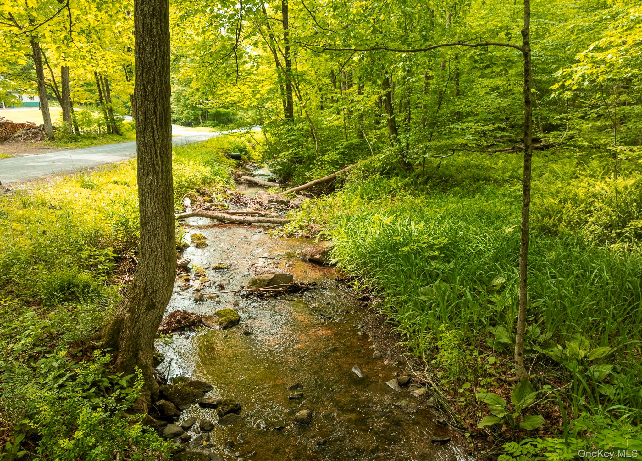 A Skunks Misery Road Millerton, NY 12546 - Photo 6 of 16 View of nature
