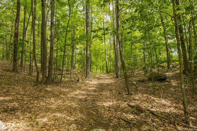 a view of outdoor space and trees