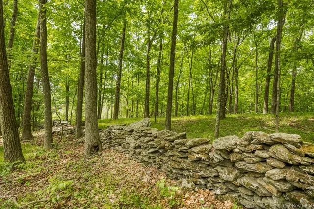 a view of swimming pool from a yard