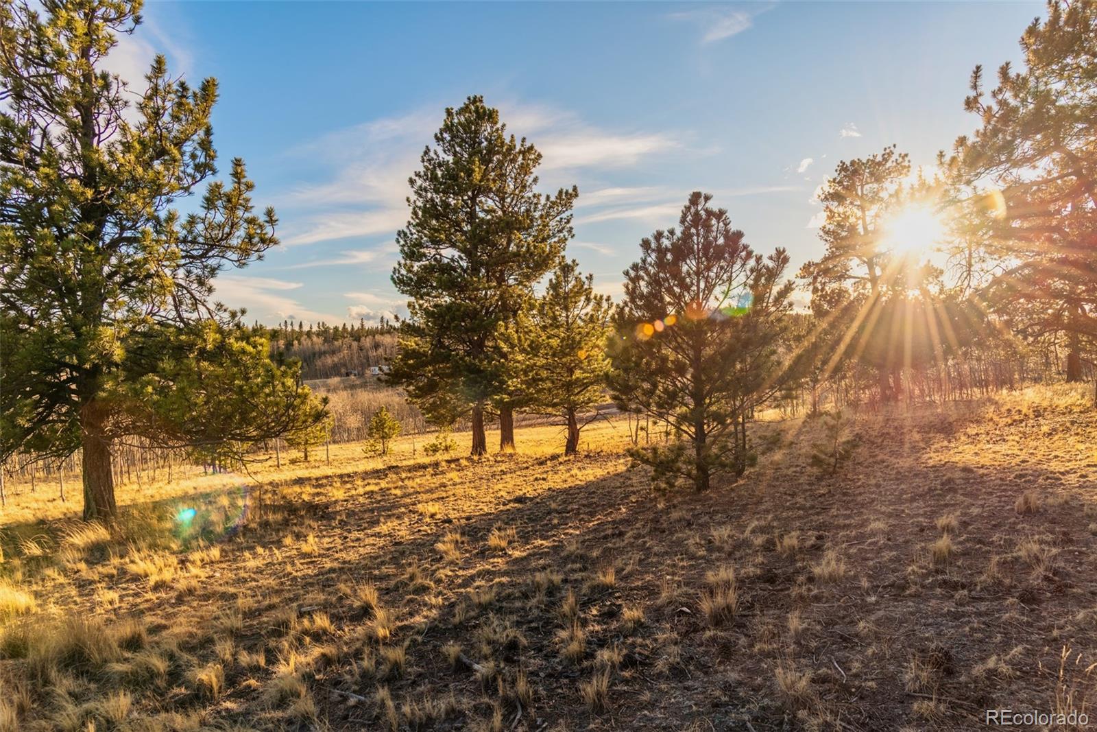 94 Ute Way Como, CO 80432 - Photo 40 of 48