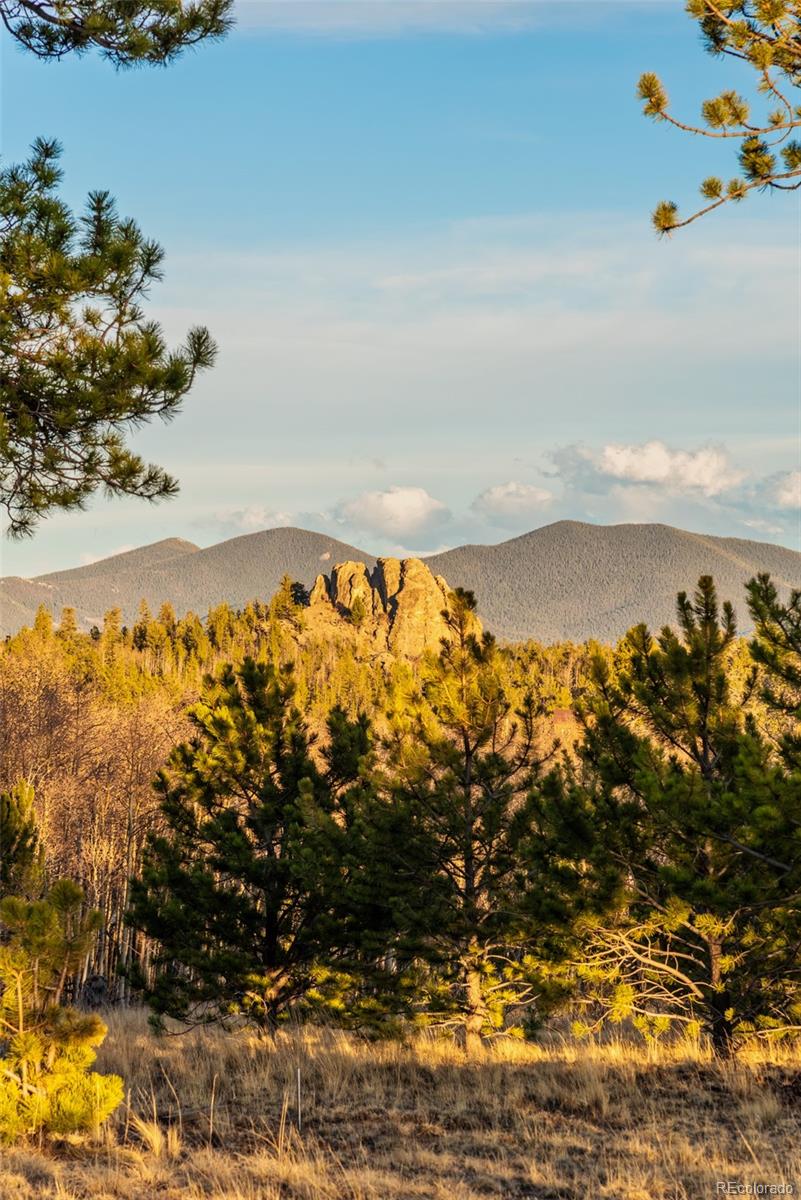 94 Ute Way Como, CO 80432 - Photo 41 of 48