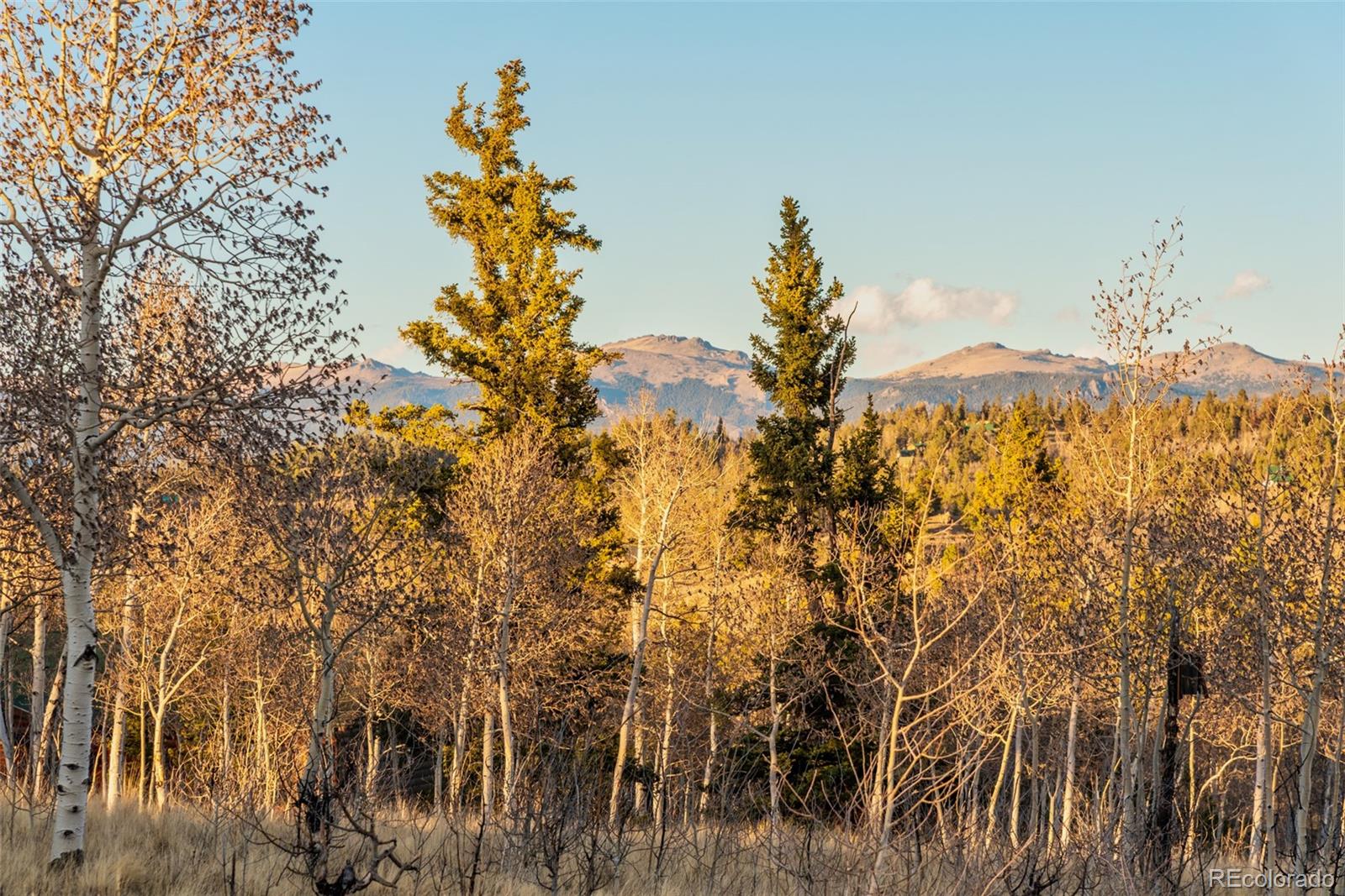 94 Ute Way Como, CO 80432 - Photo 43 of 48