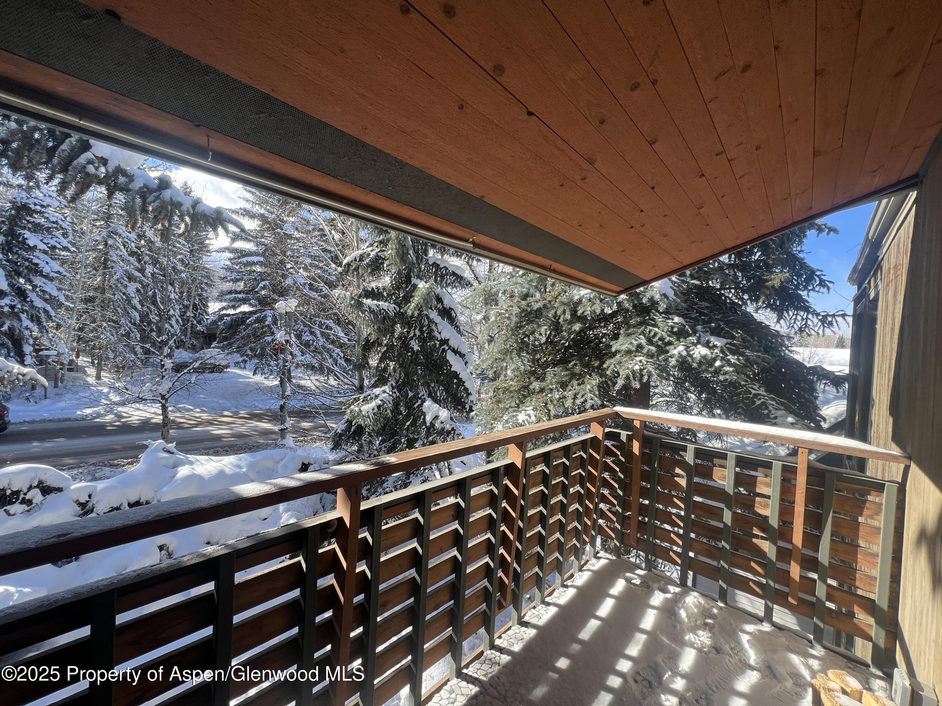 910 West Hallam Street, Unit 12 Aspen, CO 81611 - Photo 8 of 28 a view of balcony with wooden floor