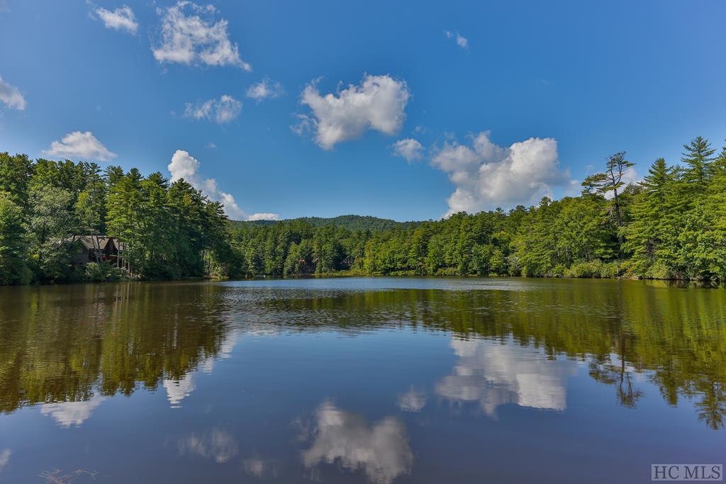 301 Deer Run Road Sapphire, NC 28774 - Photo 48 of 50 Gallery Image 48