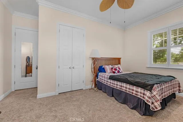 a view of a patio with table and chairs potted plants and large tree