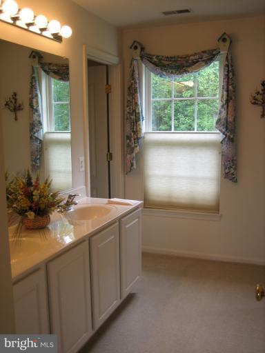 8128 Rose Haven Road Baltimore, MD 21237 - Photo 12 of 28 Bath