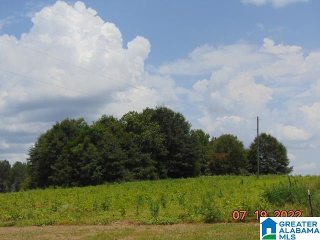 0 County Road 501 Verbena, AL 36091 - Photo 5 of 6