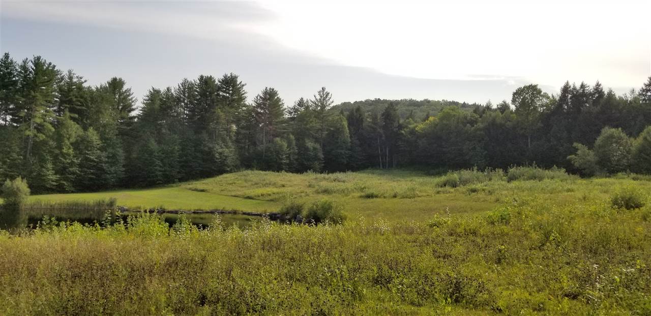 Drumlin Road Perkinsville, VT 05151 - Photo 3 of 6