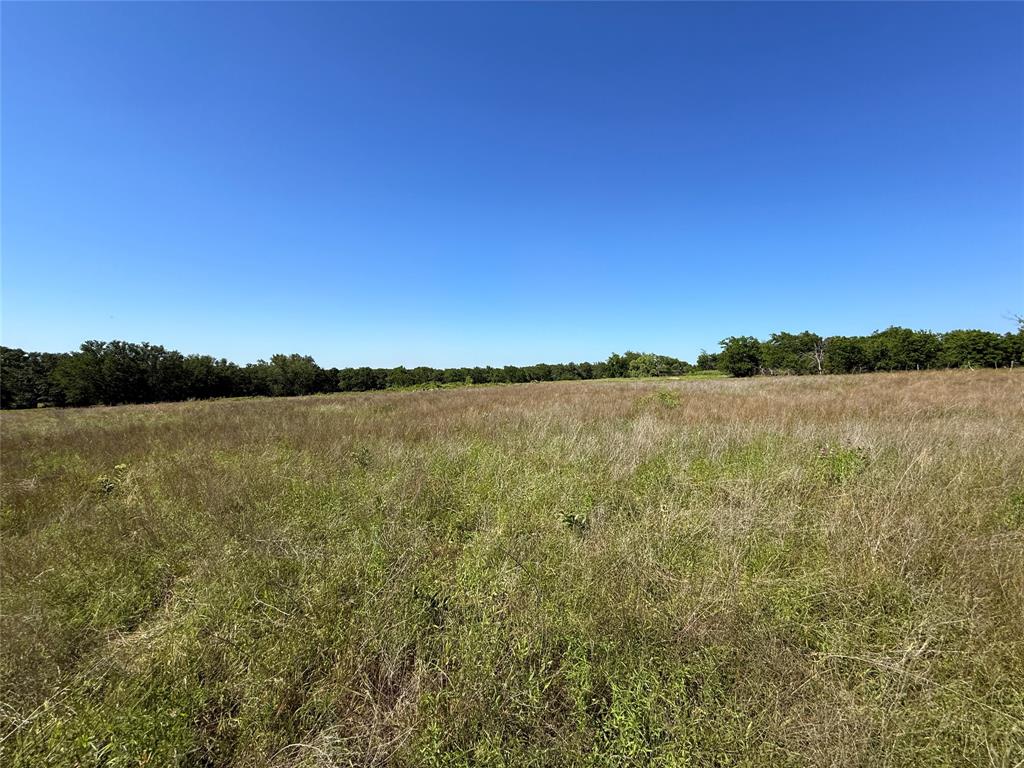 913 North Rice Street Hamilton, TX 76531 - Photo 24 of 28