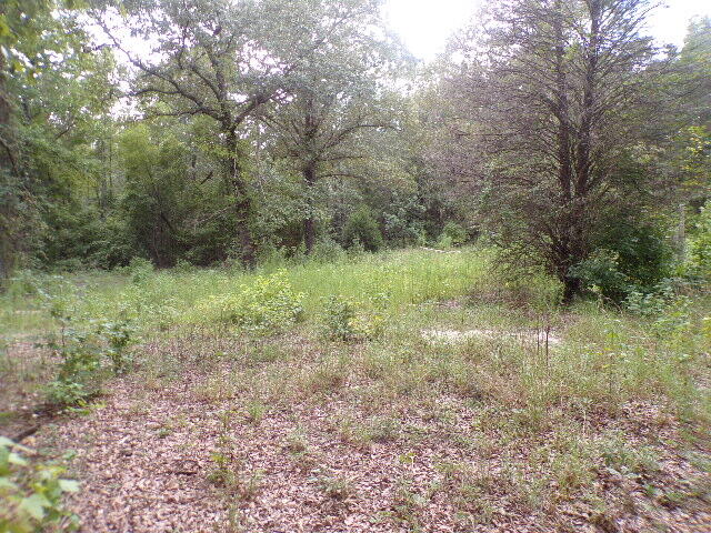 6636 Luckeys Bridge Road Dearing, GA 30808 - Photo 14 of 16 Wooded lot