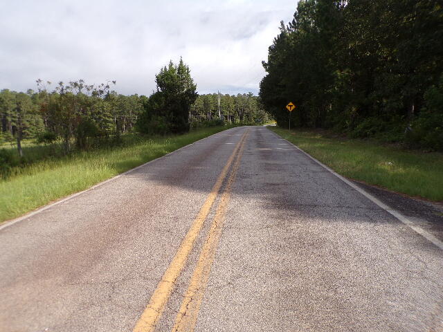 6636 Luckeys Bridge Road Dearing, GA 30808 - Photo 15 of 16 Street view