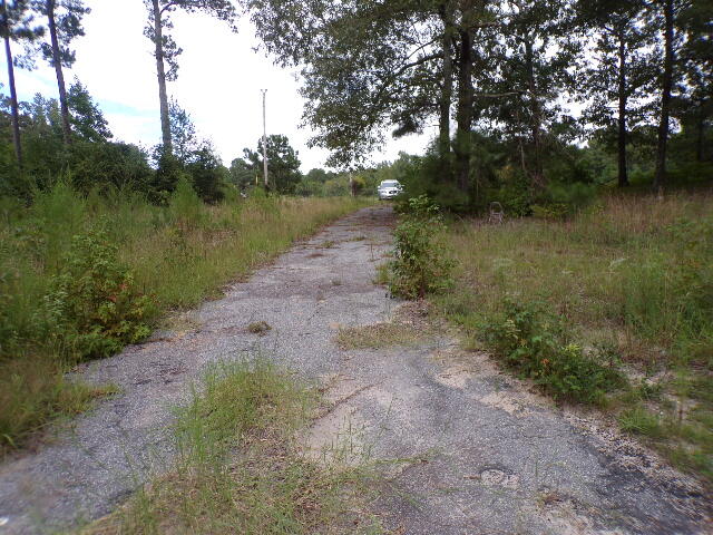 6636 Luckeys Bridge Road Dearing, GA 30808 - Photo 2 of 16 Paved driveway