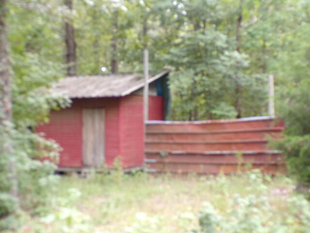 6636 Luckeys Bridge Road Dearing, GA 30808 - Photo 7 of 16 Out building