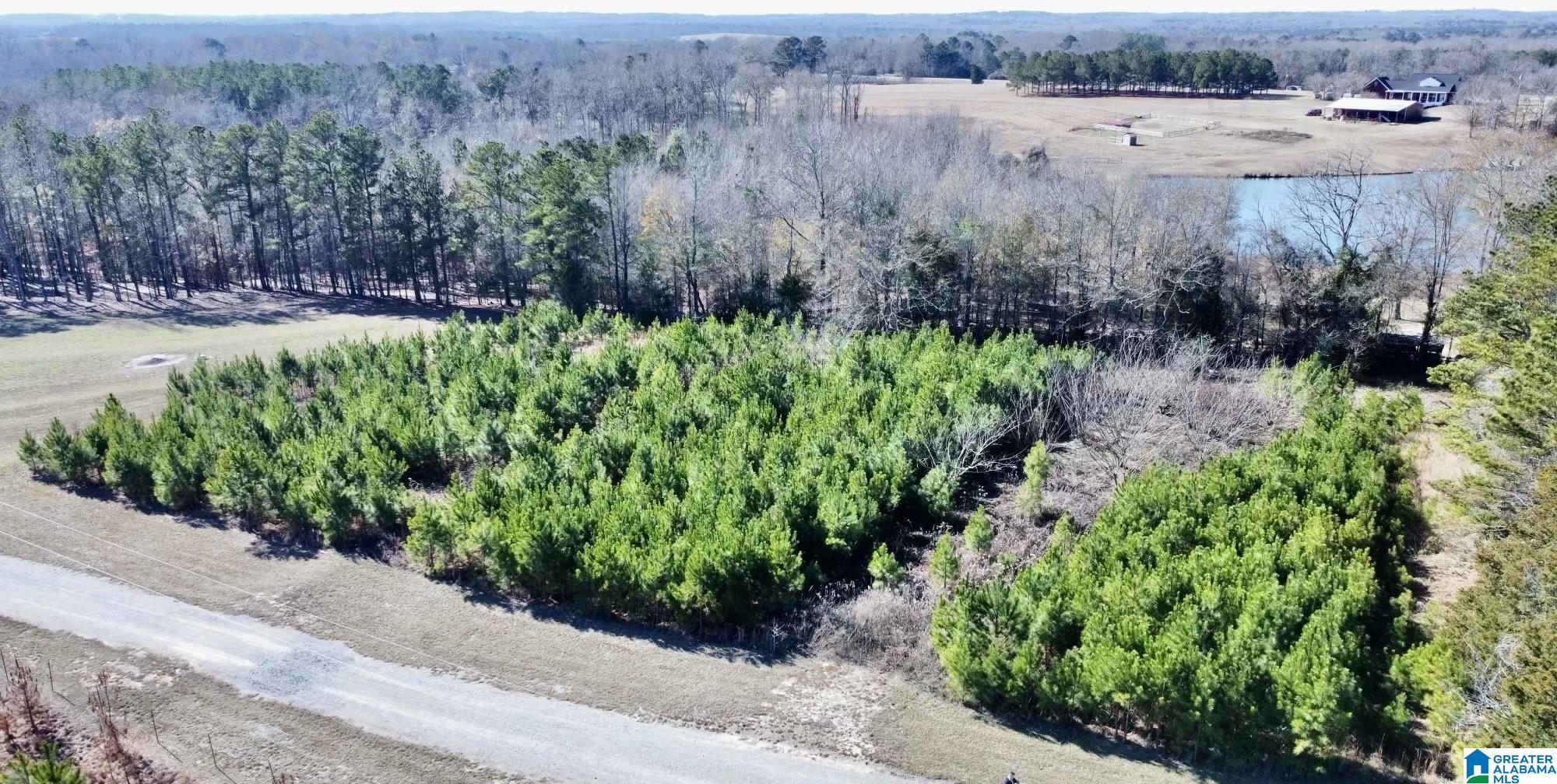 40 County Road 494 Verbena, AL 36091 - Photo 14 of 16