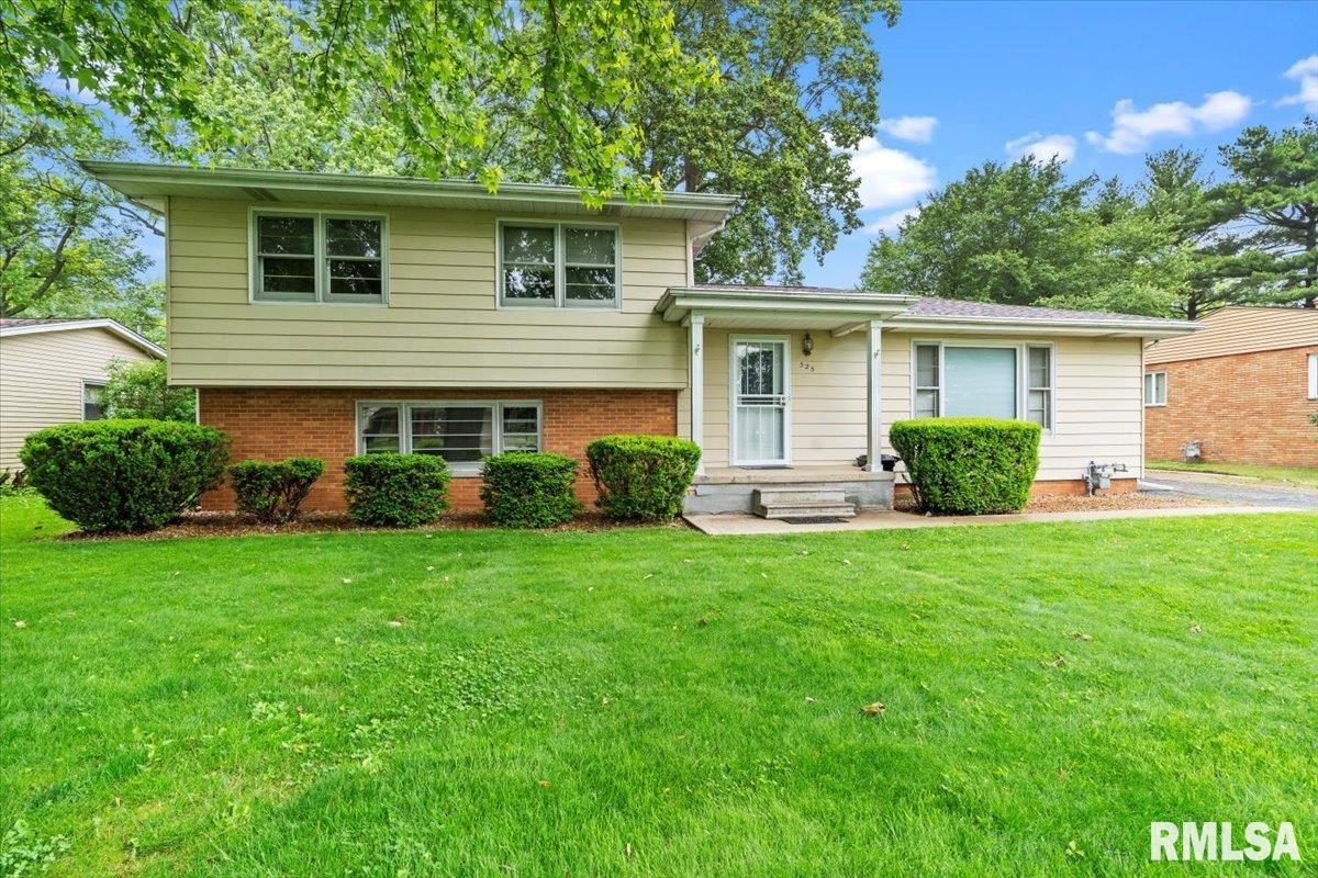 525 Sattley Street Rochester, IL 62563 - Photo 2 of 39