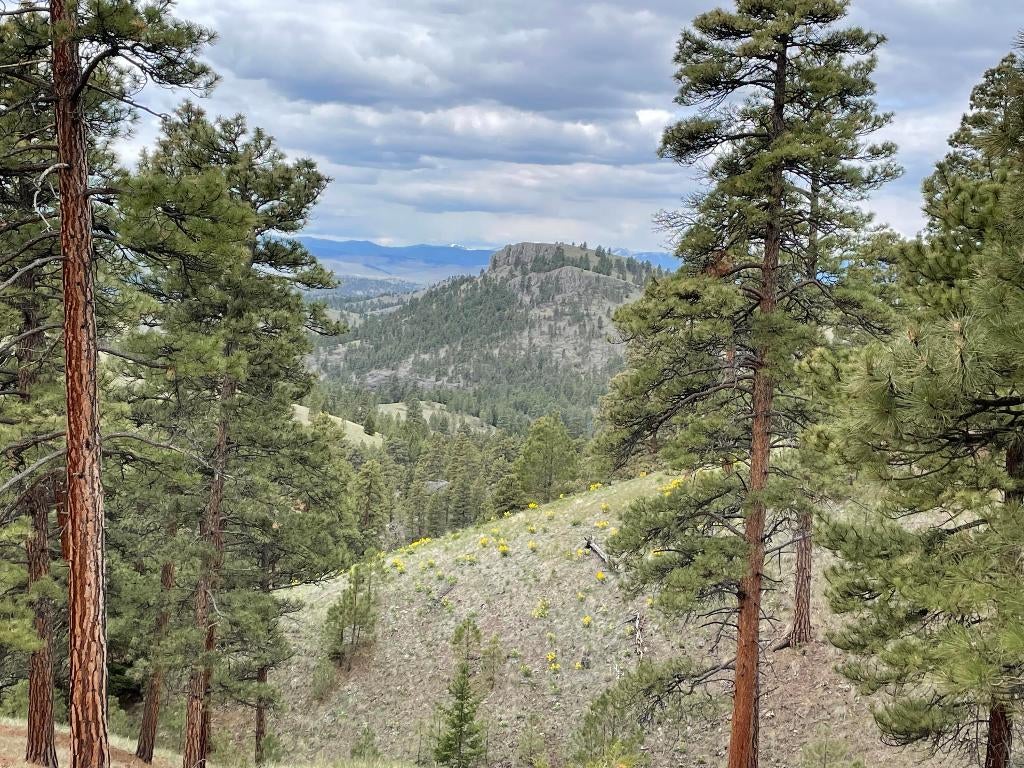 Mk5-3 Lookout Lane Cascade, MT 59421 - Photo 1 of 1 Gallery Image 1