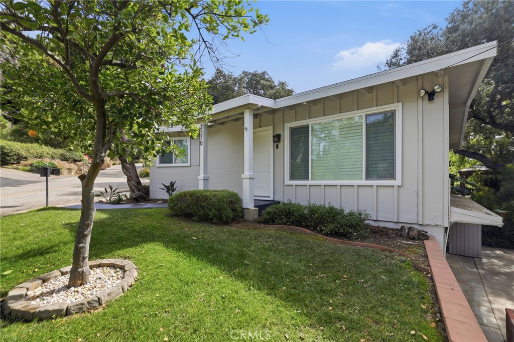 3370 Pachappa Hill Riverside, CA 92506 - Photo 6 of 36 a view of a backyard with plants and large tree