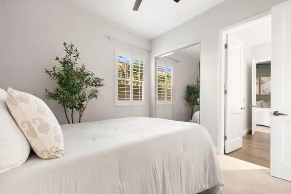a bedroom with a large bed and a potted plant