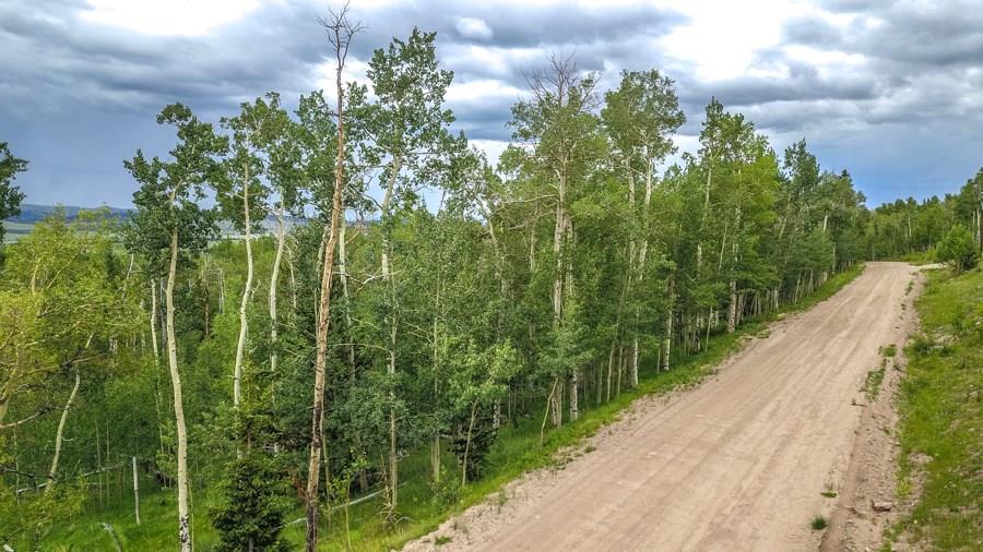 815 Lumberjack Road Fairplay, CO 80440 - Photo 4 of 15 Gallery Image 4