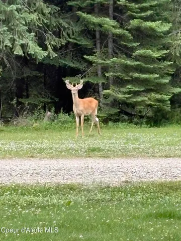 $1,100,000 | 1657 East Dufort Road, Sagle, ID 83860