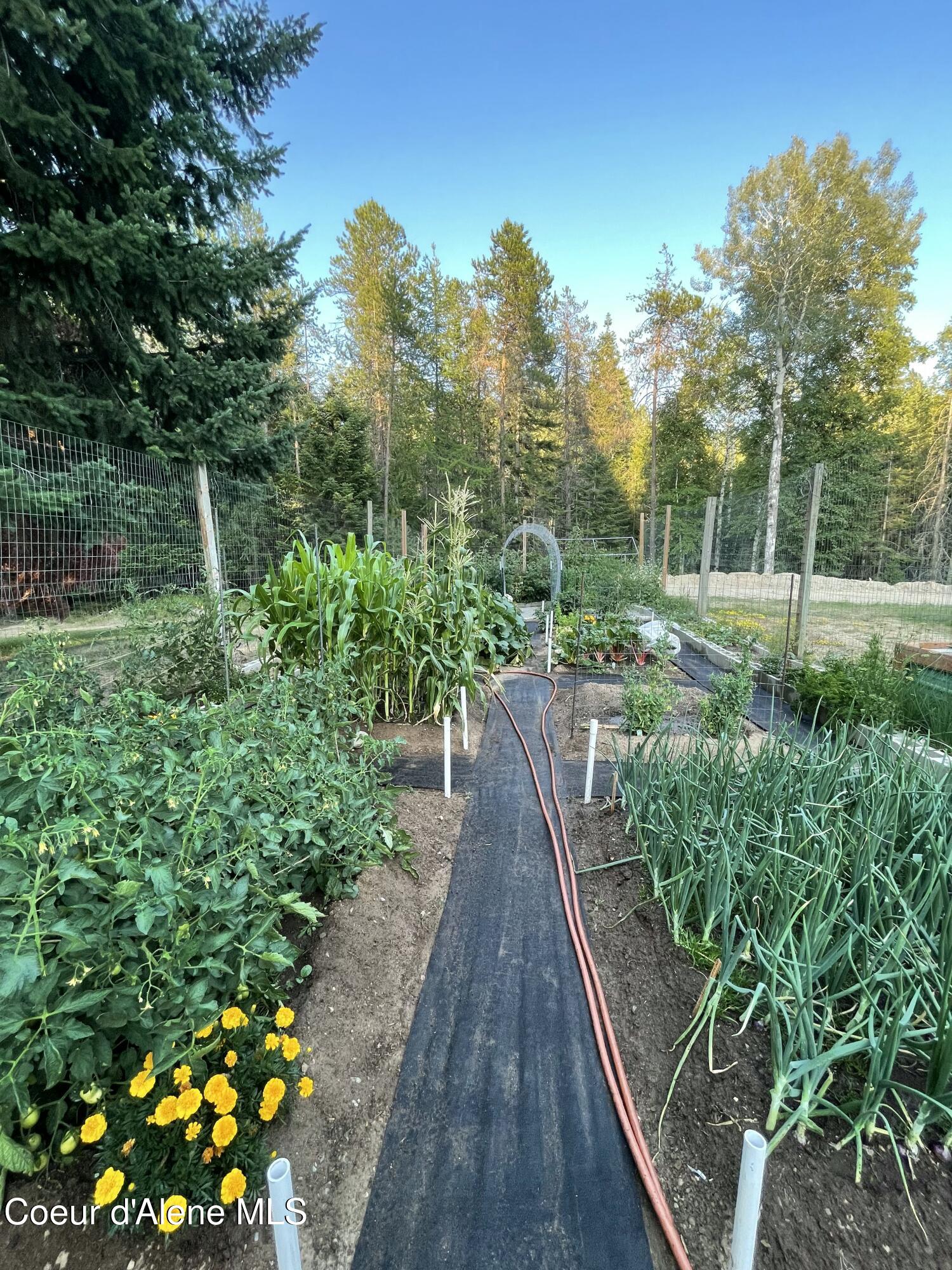 1657 East Dufort Road Sagle, ID 83860 - Photo 32 of 41 gard2