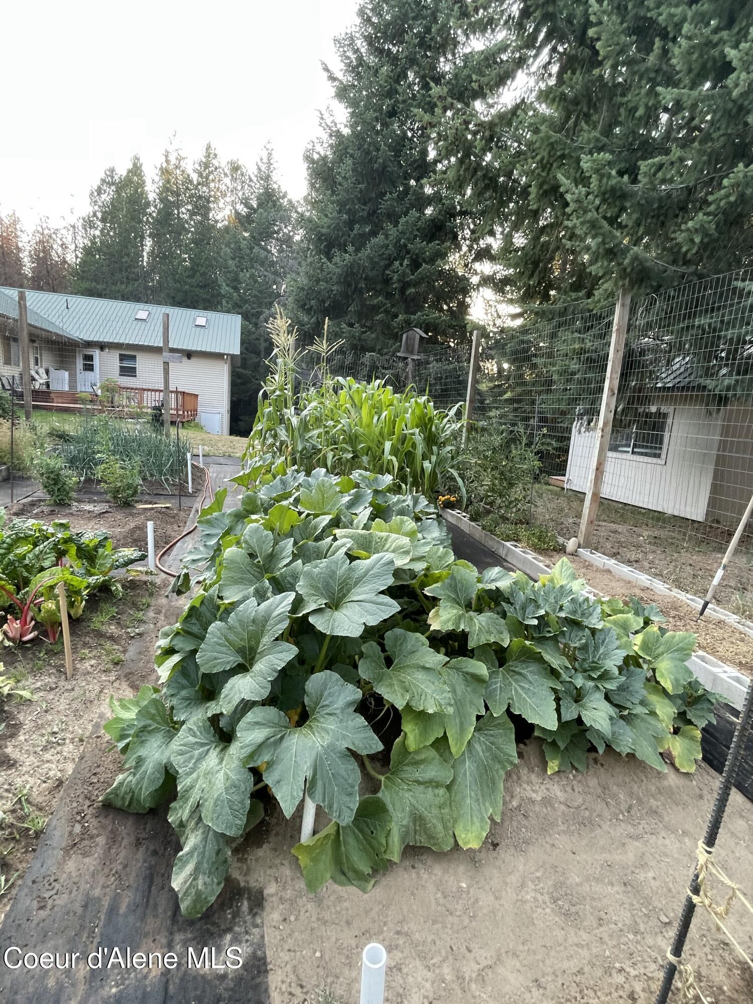 1657 East Dufort Road Sagle, ID 83860 - Photo 34 of 41 gard5