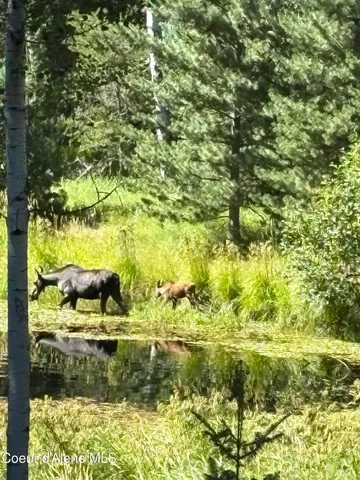 $1,100,000 | 1657 East Dufort Road, Sagle, ID 83860