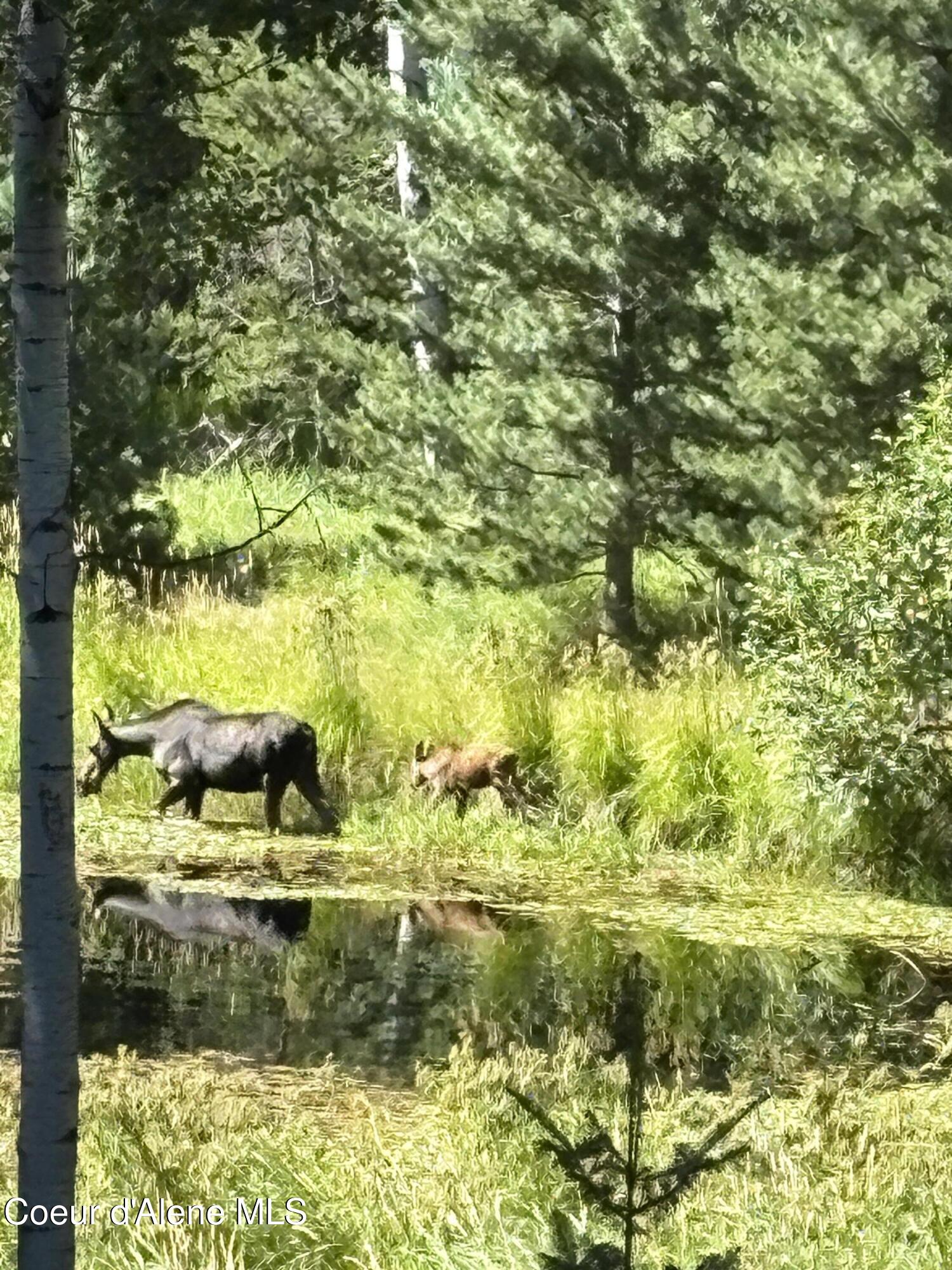 1657 East Dufort Road Sagle, ID 83860 - Photo 34 of 37 ls1