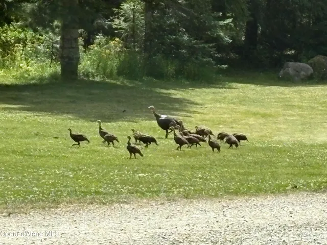 $1,100,000 | 1657 East Dufort Road, Sagle, ID 83860