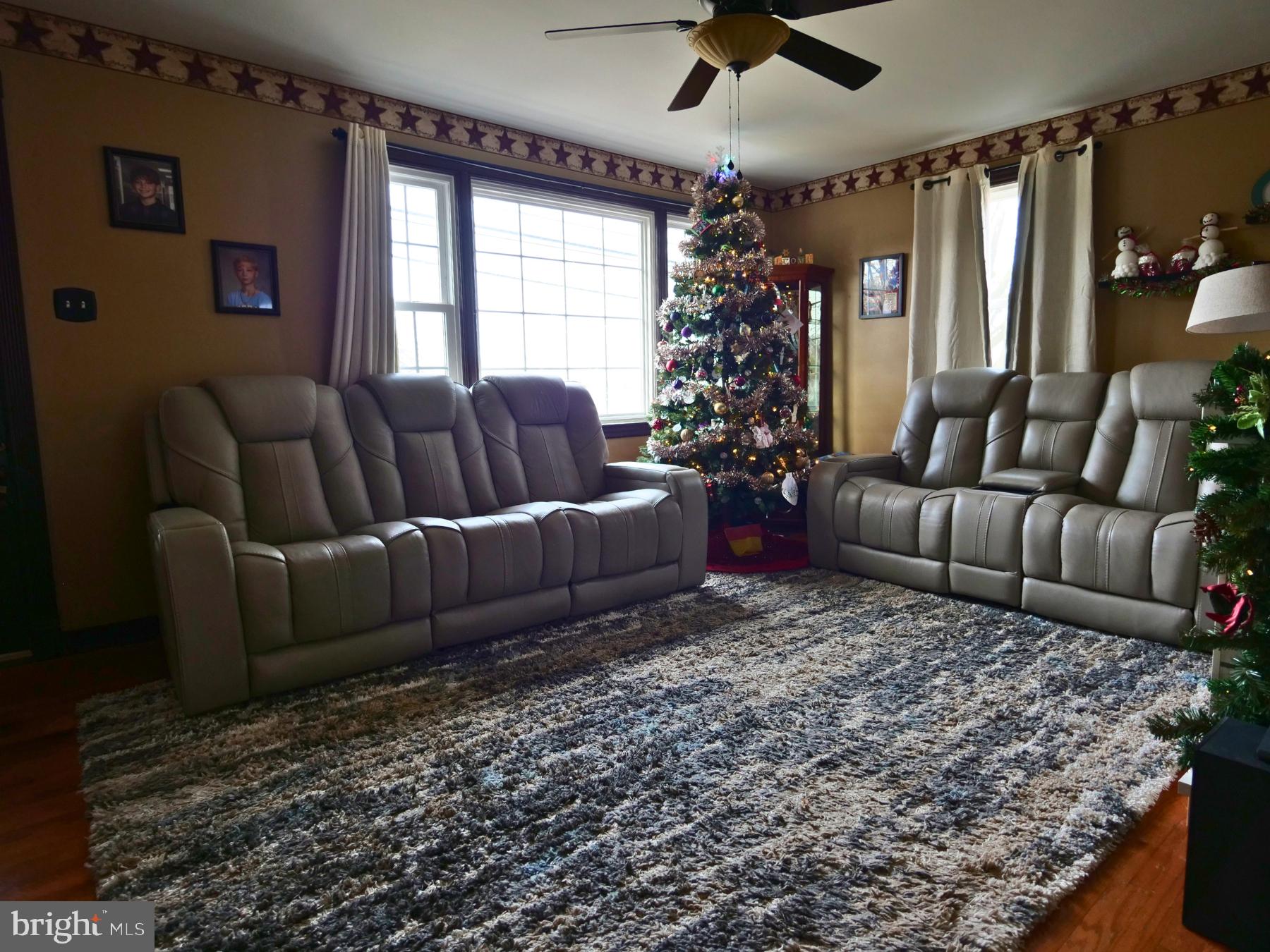 120 Harrison Street Emmaus, PA 18049 - Photo 8 of 20 a living room with furniture and a window