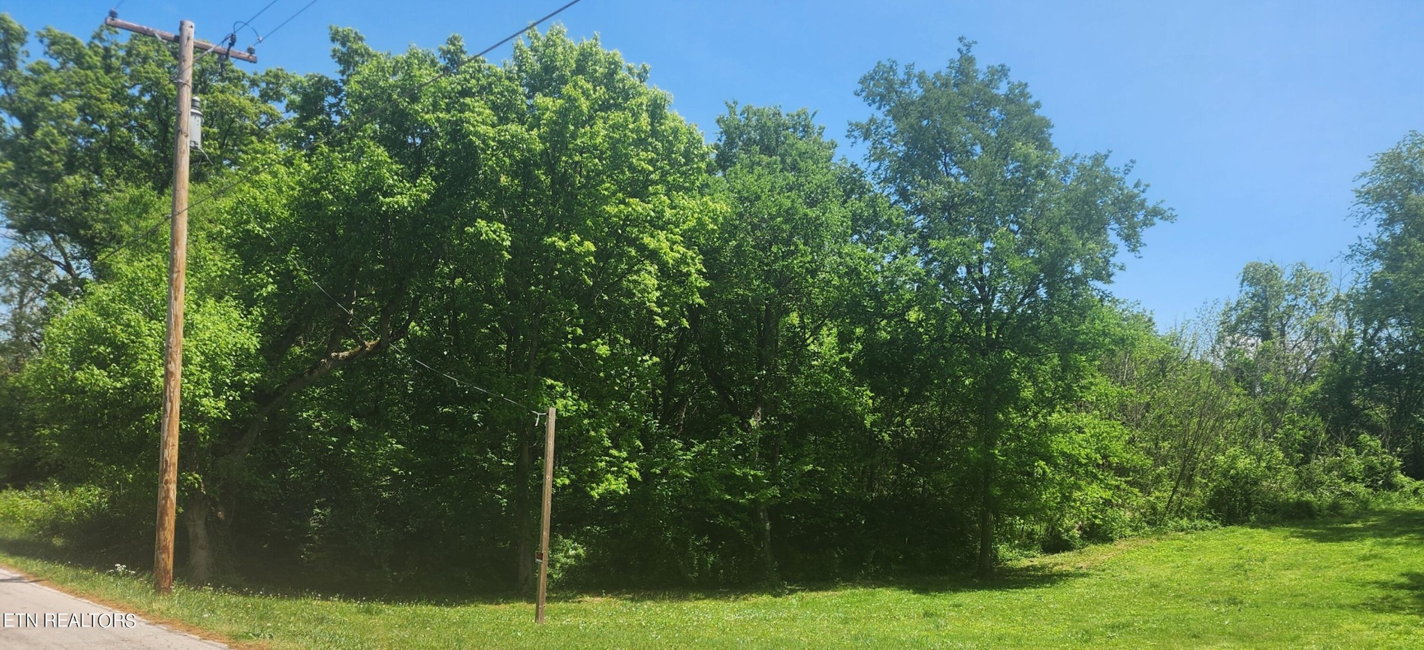 0 Grade Road Rockford, TN 37853 - Photo 2 of 5 Gallery Image 2