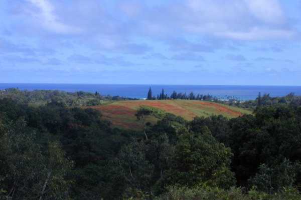 Kaehulua Road, Unit 4 Kapaa, HI 96746 - Photo 1 of 5