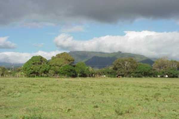 Kaehulua Road, Unit 4 Kapaa, HI 96746 - Photo 5 of 5