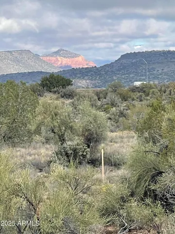 a view of a lush green hillside and a mountain