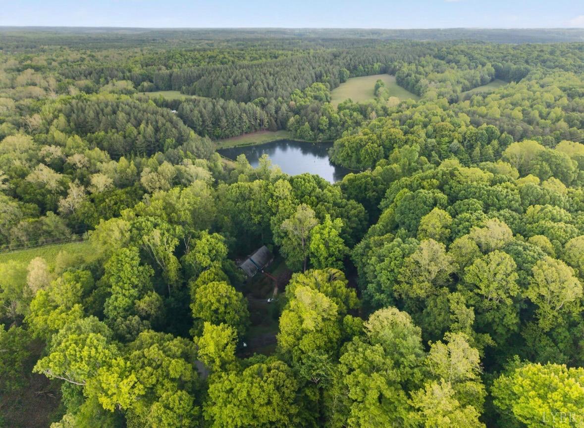 275 Fox Hill Road Rice, VA 23966 - Photo 58 of 58