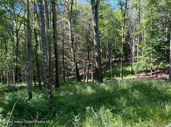 98 Norwegian Road Prattsville, NY 12468 - Photo 11 of 13 11401415-7lMXRzQJy9jCSwl6