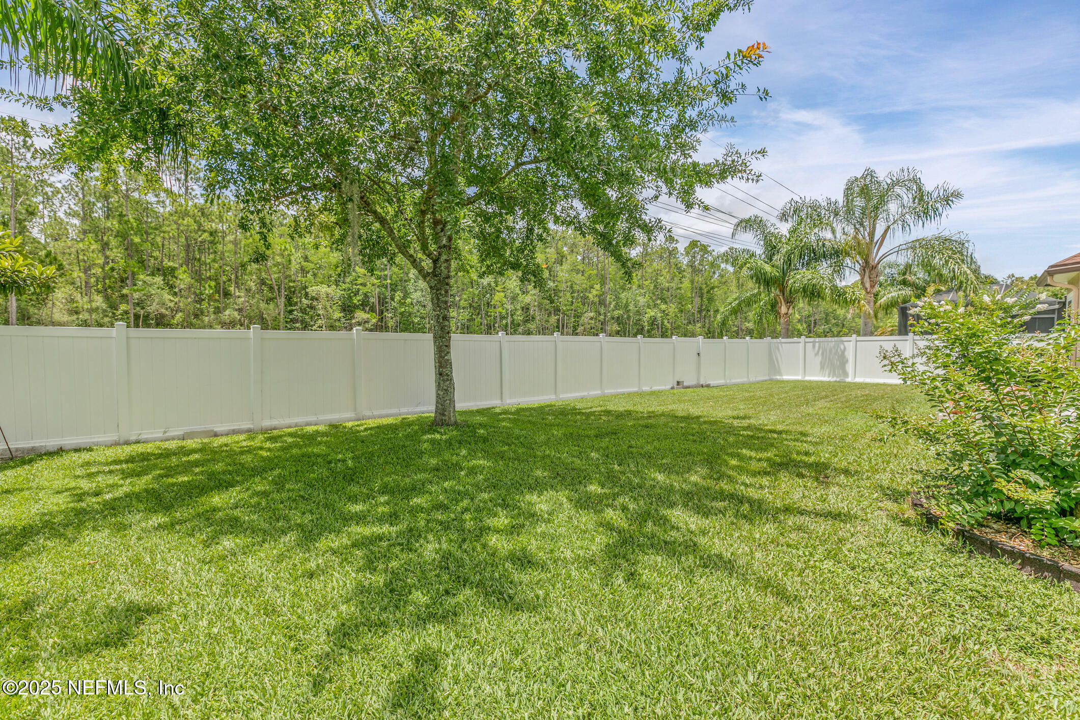 200 Ellsworth Circle St. Johns, FL 32259 - Photo 42 of 48 a view of outdoor space and yard