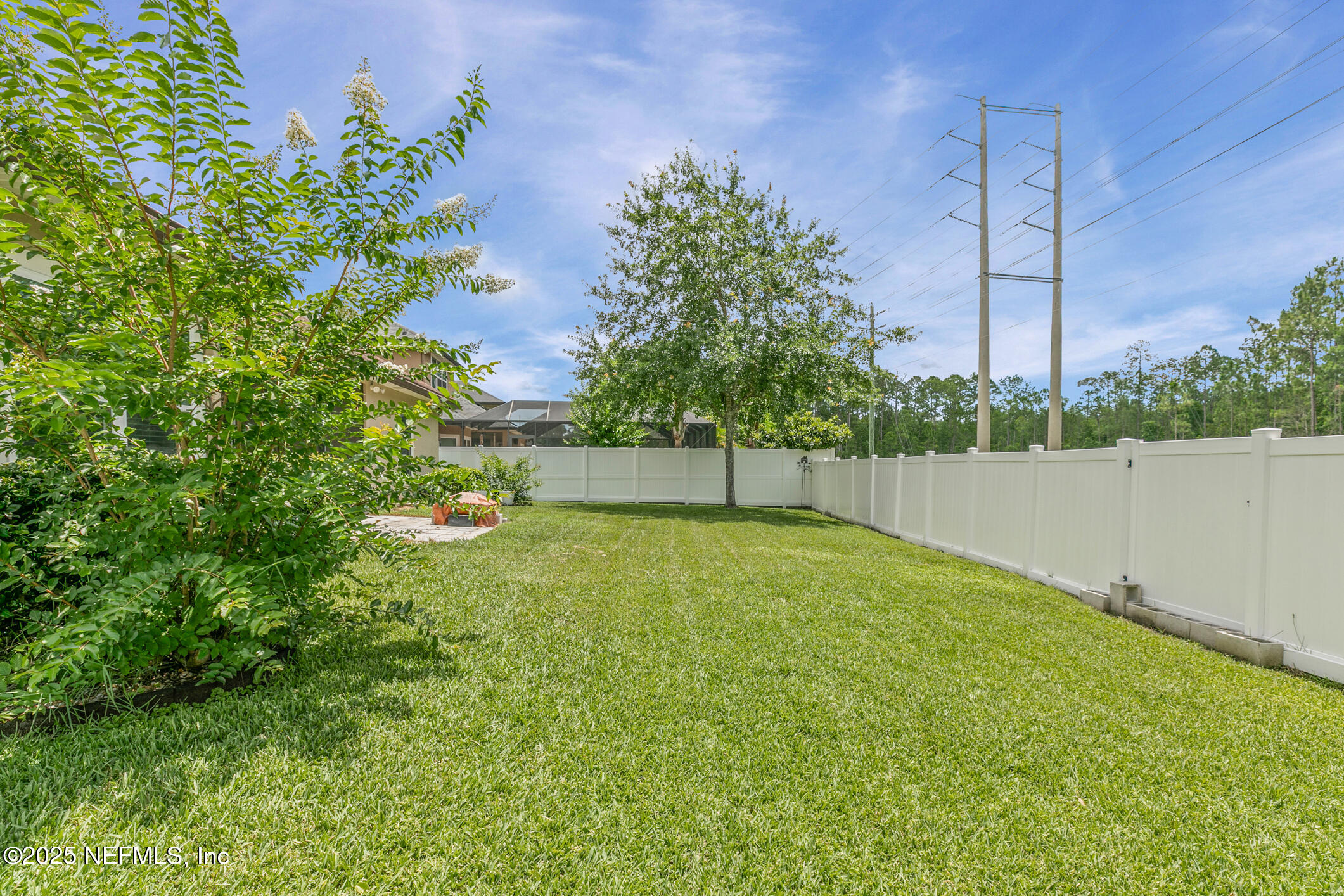 200 Ellsworth Circle St. Johns, FL 32259 - Photo 47 of 48 a view of a backyard