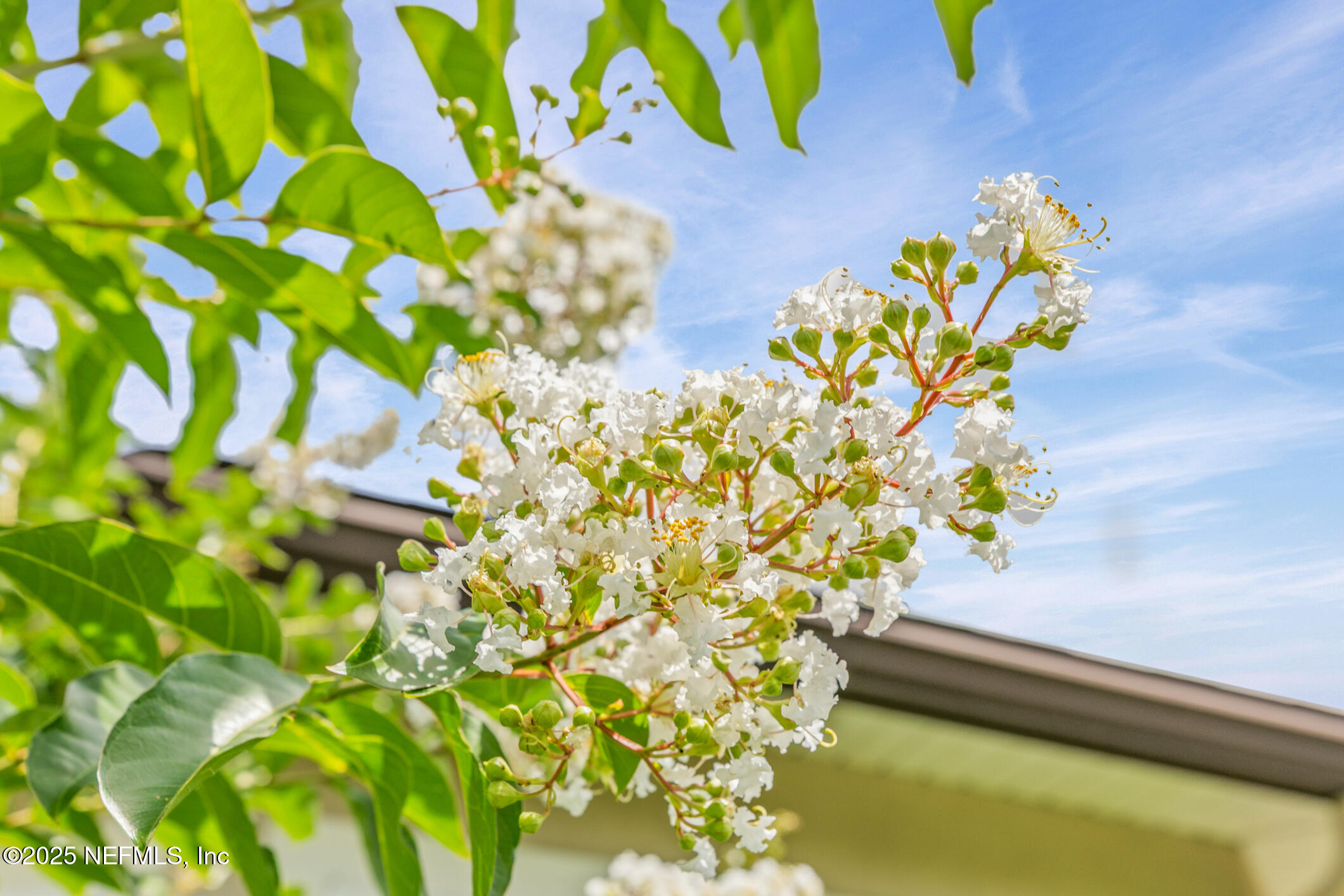 200 Ellsworth Circle St. Johns, FL 32259 - Photo 48 of 48