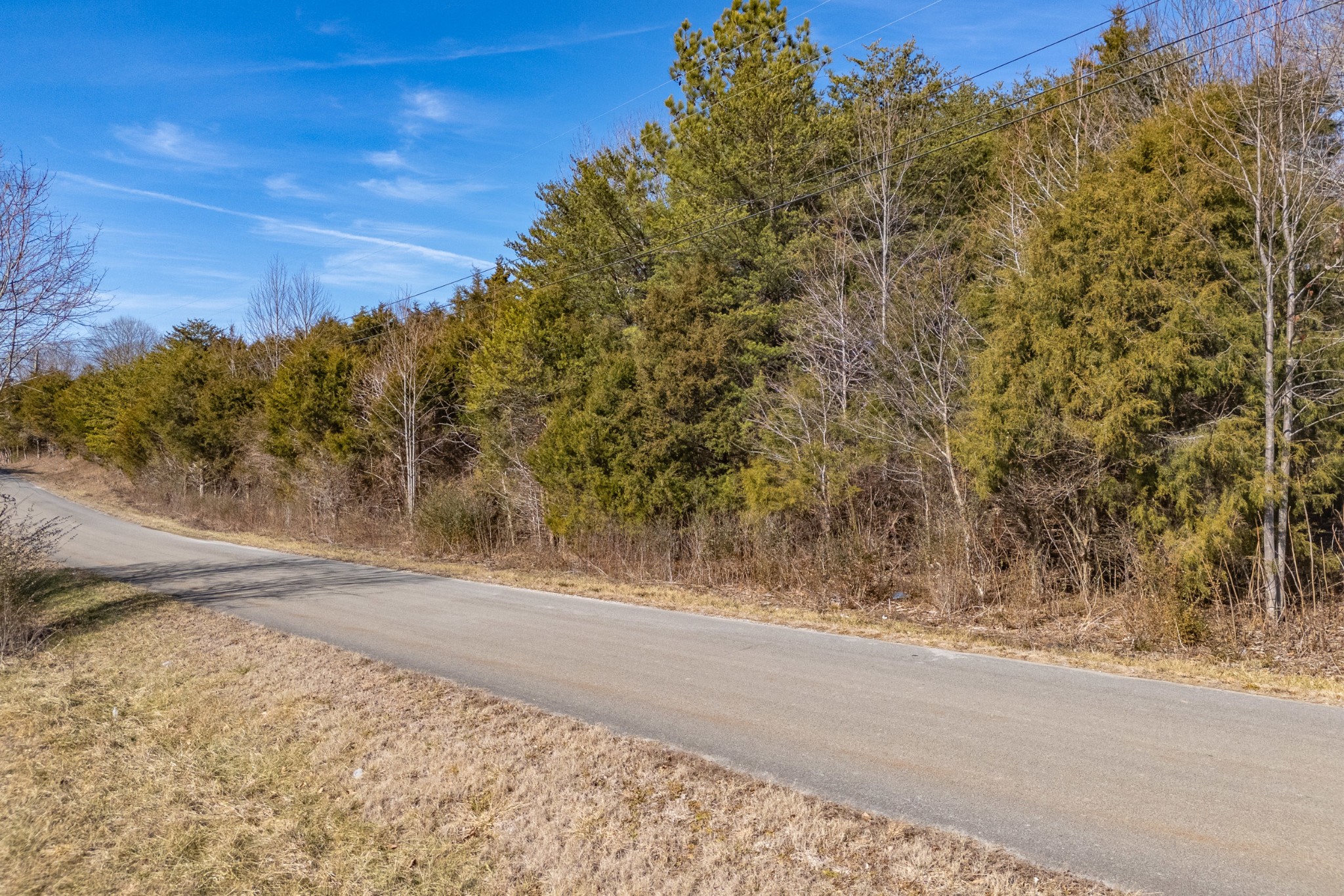 0 Amber Meadows Road Cookeville, TN 38506 - Photo 6 of 13 Gallery Image 6