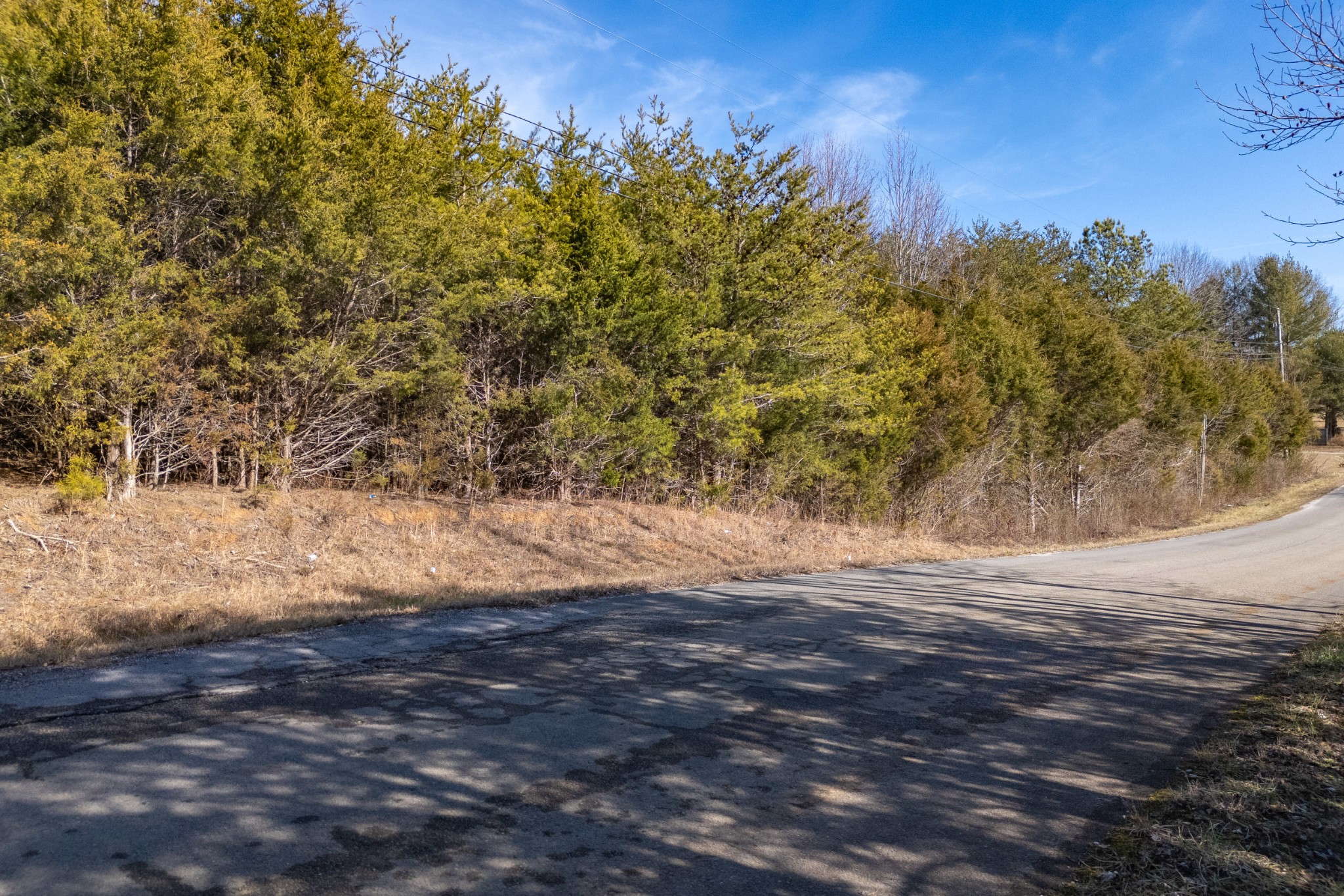 0 Amber Meadows Road Cookeville, TN 38506 - Photo 7 of 13 Gallery Image 7